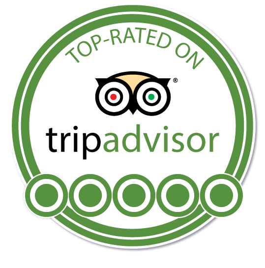 TripAdvisor-Logo-Plain